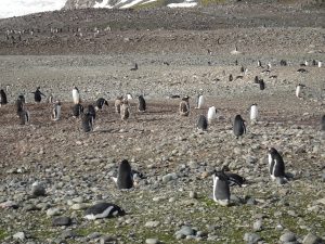 DSC00784-300x225